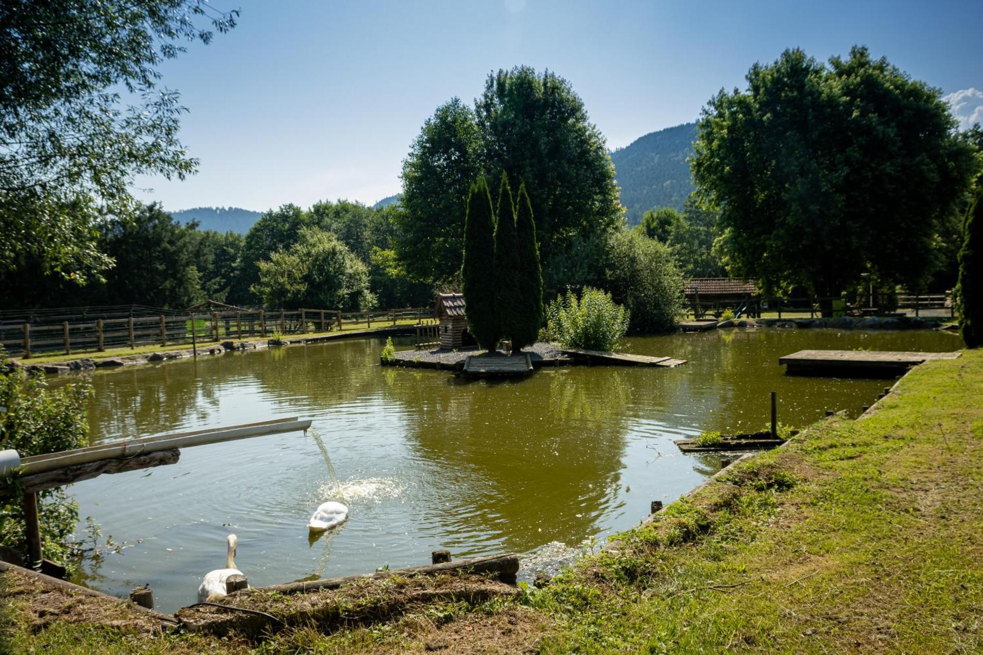 Logis Hotel Le Regal & Spa Saint-Die-des-Vosges Экстерьер фото